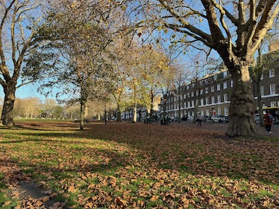 Highbury Fields