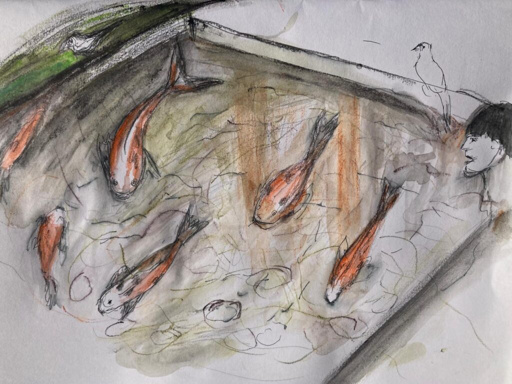 Sketching in the City Gallery 3