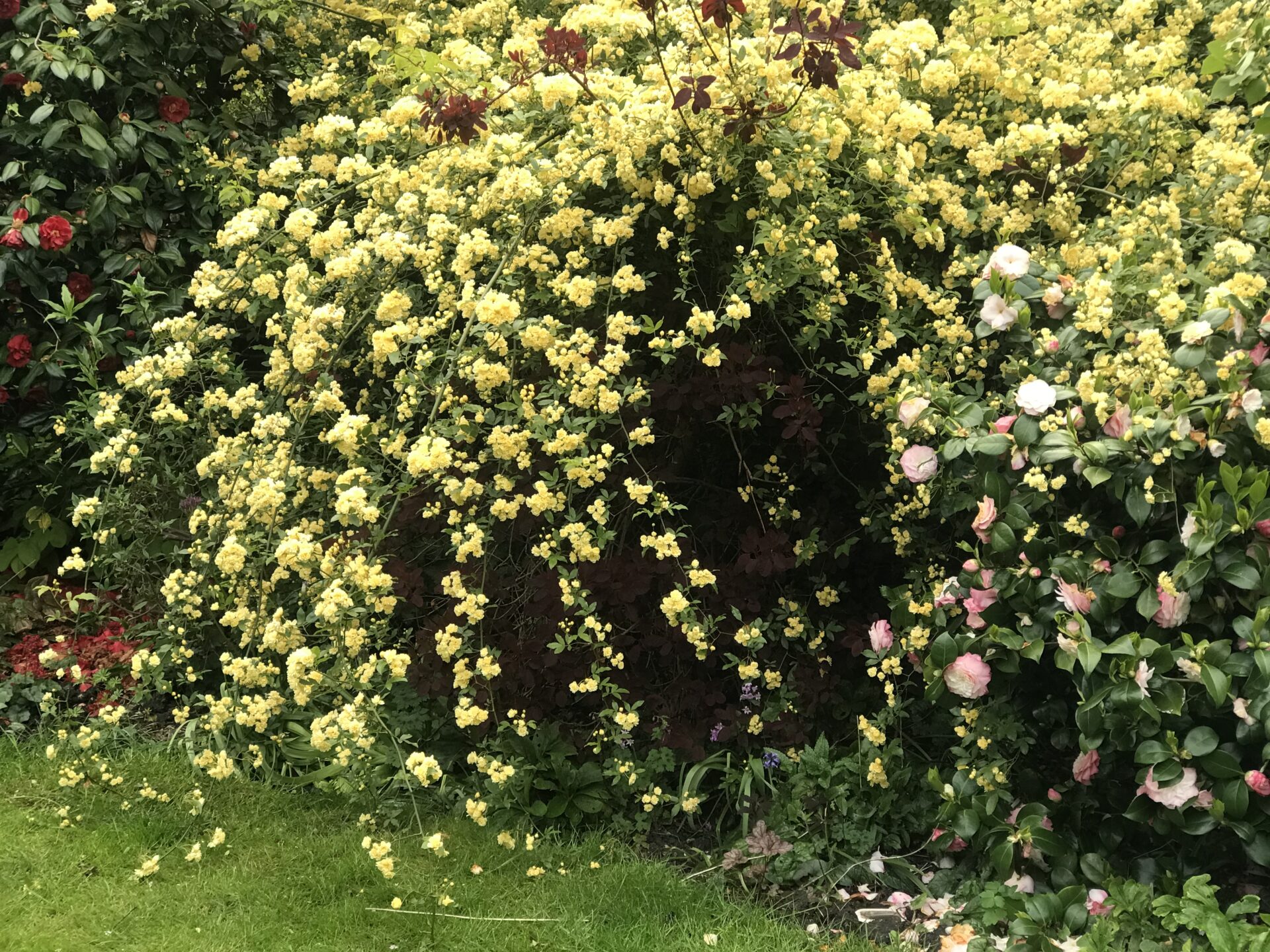 https://islington.u3asite.uk/u3a_groups/gardening/