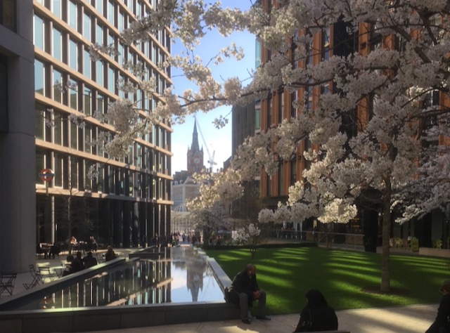 Architecture - Kings Cross masterplan and St Pancras