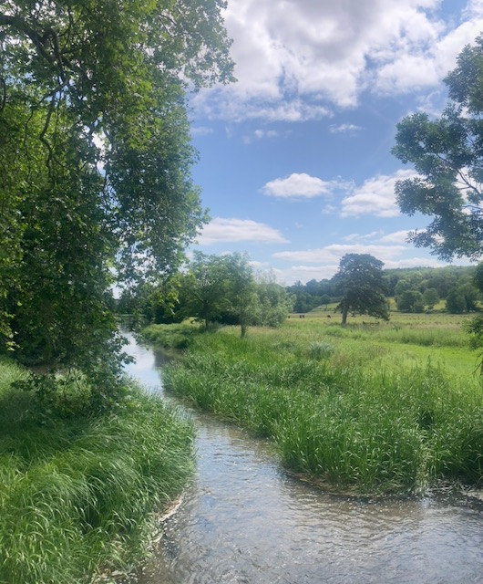 Amblers - Chess valley